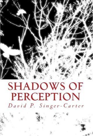Shadows of Perception by David P. Singer-Carter
