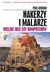 Hakerzy i malarze. Wielkie idee ery komputerów (Paperback)