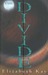 The Divide (The Divide, #1)