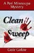 Clean Sweep by Gayle Carline