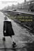 What They Do in the Dark (Paperback)