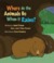 Where Do The Animals Go When It Rains?