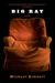 Big Ray: A Novel (Paperback)