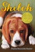 Shiloh (Paperback)