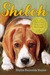 Shiloh (Hardcover)