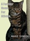 A Forever Home For Athena
