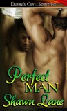 Perfect Man Perfect Man