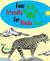 Four friendly paws for Hind...