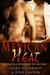 Mexican Heat by Laura Baumbach