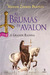 A Grande Rainha (As Brumas de Avalon, #2)