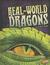 Real-World Dragons