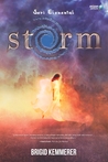 Storm by Brigid Kemmerer