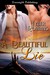 A Beautiful Lie by Tyler Robbins A Beautiful Lie by Tyler Robbins