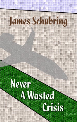 Never A Wasted Crisis by James  Schubring
