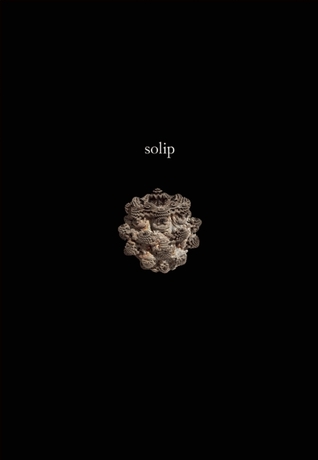 Solip by Ken Baumann
