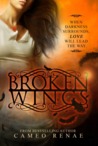 Broken Wings (Hidden Wings, #2) Broken Wings (Hidden Wings, #2)