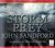 Storm Prey (Lucas Davenport #20)
