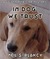 In Dog We Trust