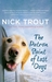 The Patron Saint of Lost Dogs by Nick Trout The Patron Saint of Lost Dogs by Nick Trout