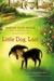 Little Dog, Lost (ebook)