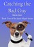 Catching the Bad Guy (Janet...