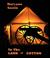 In the Land of Cotton by Maryann Austin In the Land of Cotton by Maryann Austin