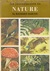 An Introduction to Nature