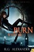 Burn With Me by R.G. Alexander