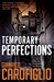 Temporary Perfections (ebook)