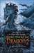 Here, There Be Dragons (The Chronicles of the Imaginarium Geographica, #1)