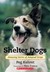 Shelter Dogs: Amazing Stories of Adopted Strays (Paperback)