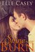 Shine Not Burn (Shine Not Burn, #1)