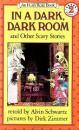 In a Dark, Dark Room and Other Scary Stories
