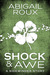 Shock & Awe (Sidewinder, #1)