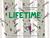Lifetime: The Amazing Numbers in Animal Lives
