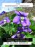 The Independent Herbalist: A Beginner's Guide to Herbal Preparedness