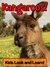 Kangaroos! Learn About Kangaroos and Enjoy Colorful Pictures - Look and Learn! (50+ Photos of Kangaroos)