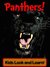 Panthers! Learn About Panthers and Enjoy Colorful Pictures - Look and Learn! (50+ Photos of Panthers)