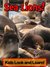 Sea Lions! Learn About Sea Lions and Enjoy Colorful Pictures - Look and Learn! (50+ Photos of Sea Lions)