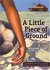 A Little Piece of Ground by Elizabeth Laird A Little Piece of Ground by Elizabeth Laird