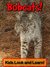 Bobcats! Learn About Bobcats and Enjoy Colorful Pictures - Look and Learn! (50+ Photos of Bobcats)