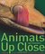Animals Up Close: Zoom in on the World's Most Incredible Creatures
