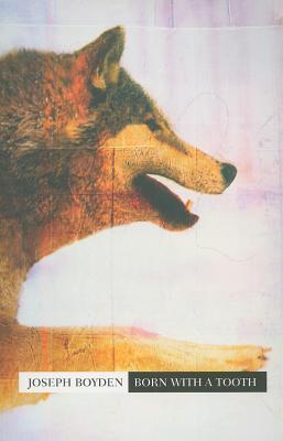 Persuasive Writing pdf essays - wasifkhayalsangatcom m butterfly book essays written