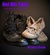 Not His Type (Opposites Attract, #1)