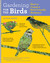 Gardening for the Birds: How to Create a Bird-Friendly Garden