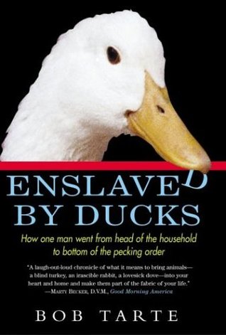 Pecking order theory literature review