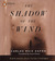 The Shadow of the Wind by Carlos Ruiz Zafón The Shadow of the Wind by Carlos Ruiz Zafón