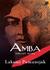 Amba: Sebuah Novel