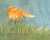 Come Back, Moon by David Kherdian Come Back, Moon by David Kherdian