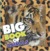 Big Book of Animals